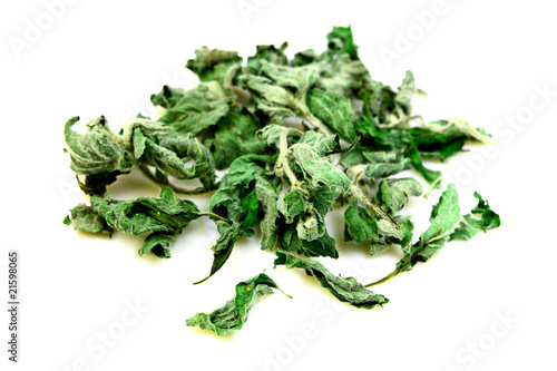 Dry herb mint for tea