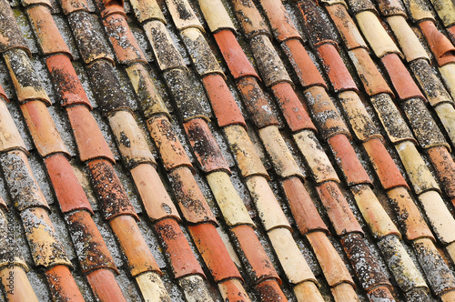 An old tile roof © SLDigi
