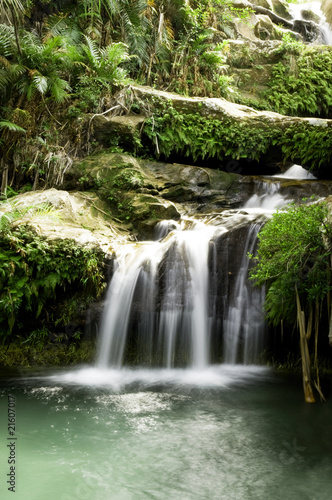 Fototapeta Naklejka Na Ścianę i Meble -  A waterfall in a rainforest