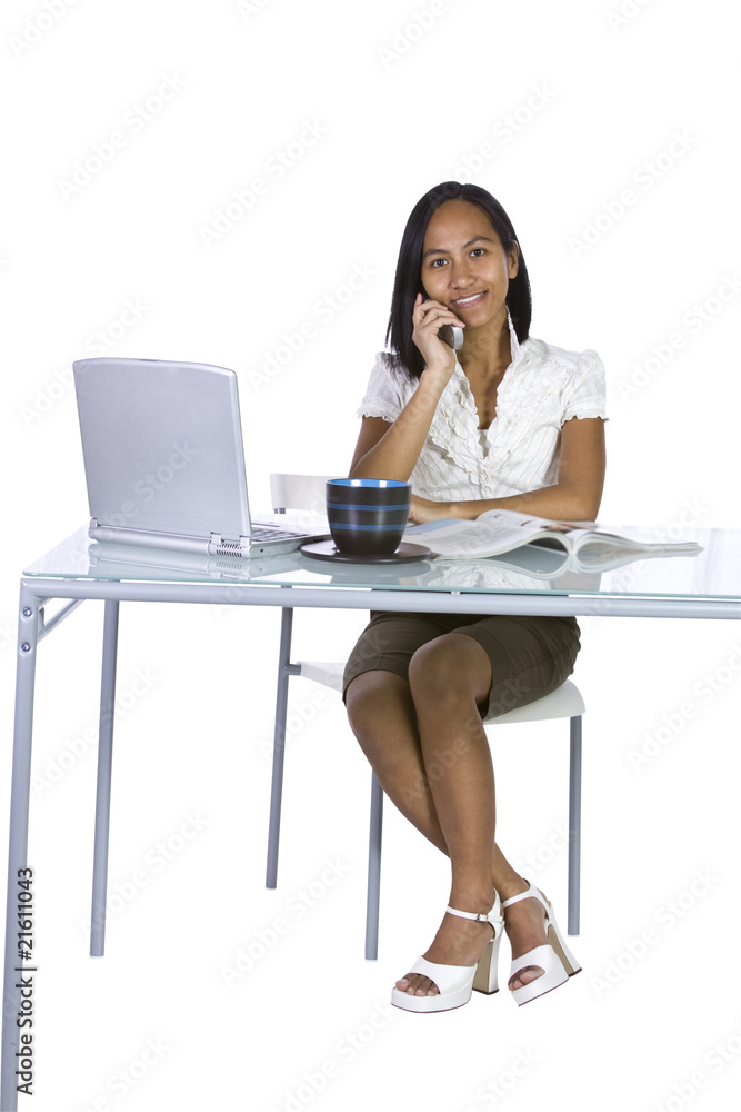 Businesswoman at Her Desk Working Businesswoman at Her Desk Working