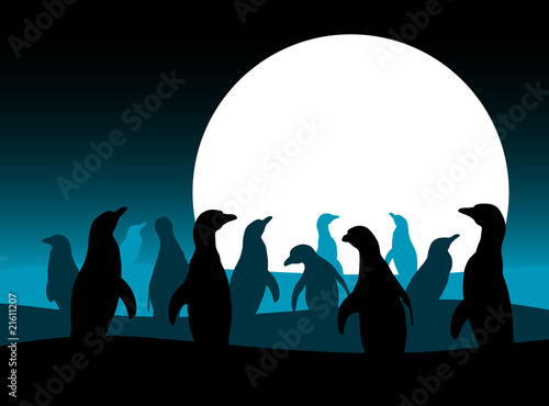 Tela penguins and moon