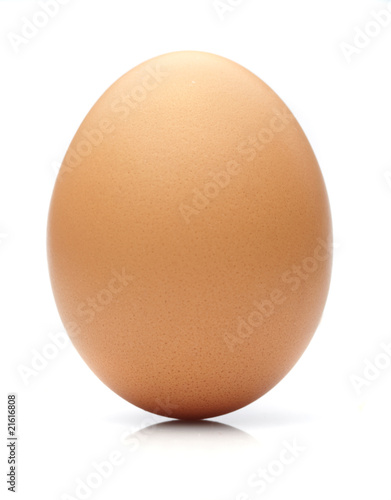 egg on white background.