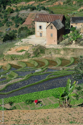 Concession en pays Betsileo