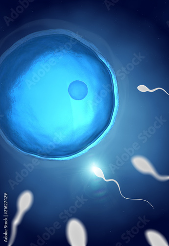 фотографія Human sperm ahead ovum