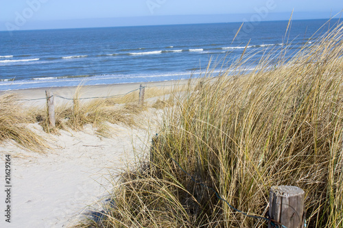 Fotoroleta ścieżka plaża trawa woda lato