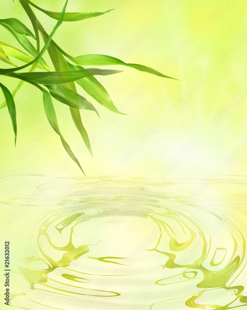 Obraz premium bamboo leaves over water