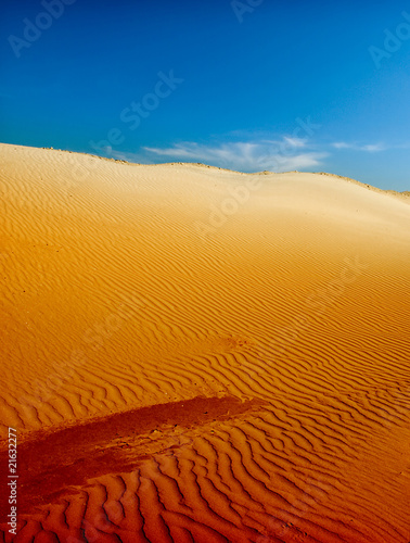 desert landscape