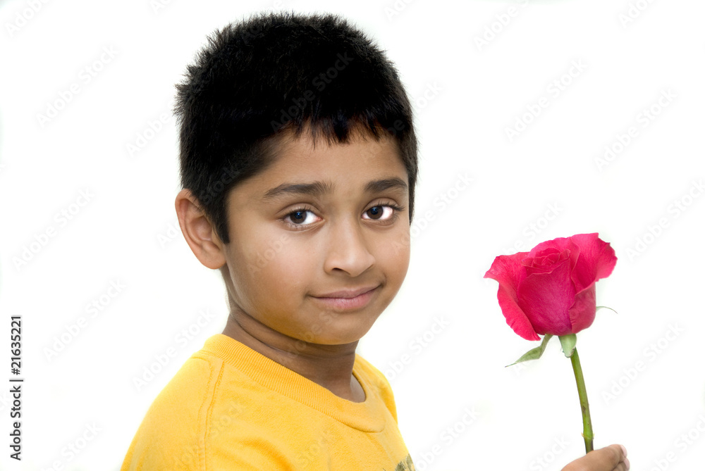 handsome indian kid holding flower for valentine handsome indian kid holding flower for valentine