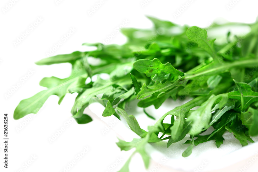 Green leaves of lettuce rucola - rocket ( arrugula ) Green leaves of lettuce rucola - rocket ( arrugula )