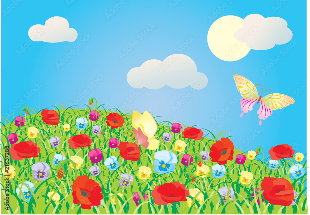 Fototapeta premium kwitnąca łąka z czerwonymi kwiatami