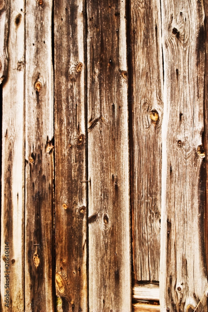 Naklejka premium wood