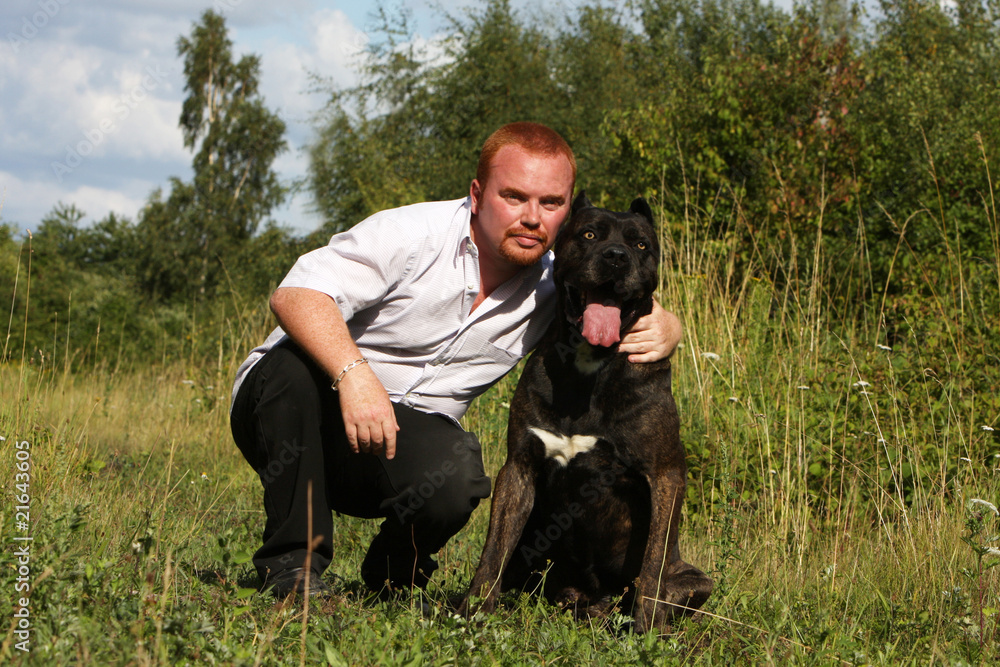 maître tenant tendrement son cane corso par le cou maître tenant tendrement son cane corso par le cou