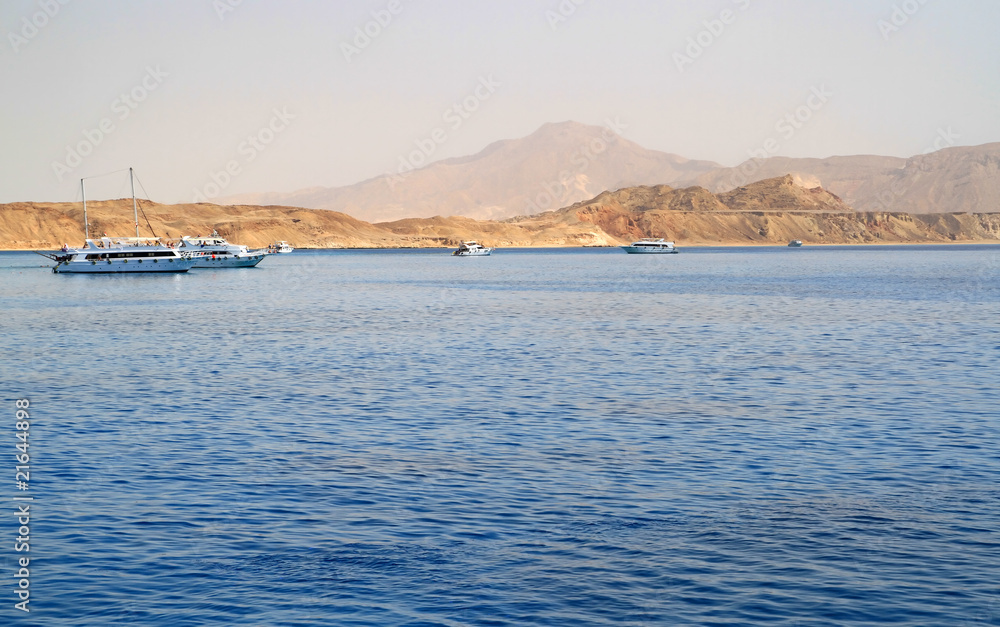 Tiran island coastline - Egypt