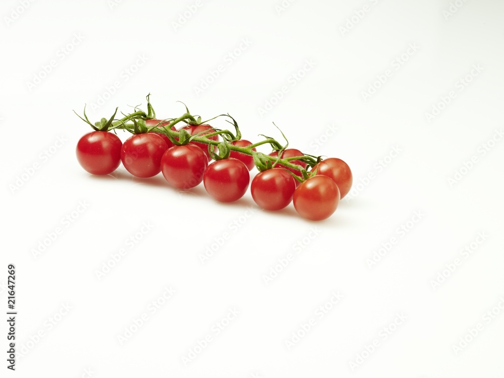 Strauchtomaten Studioaufnahme Strauchtomaten Studioaufnahme