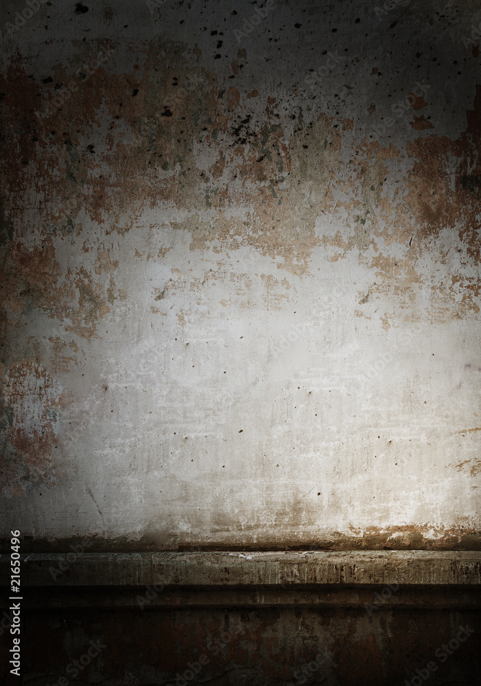 Fototapeta premium wall
