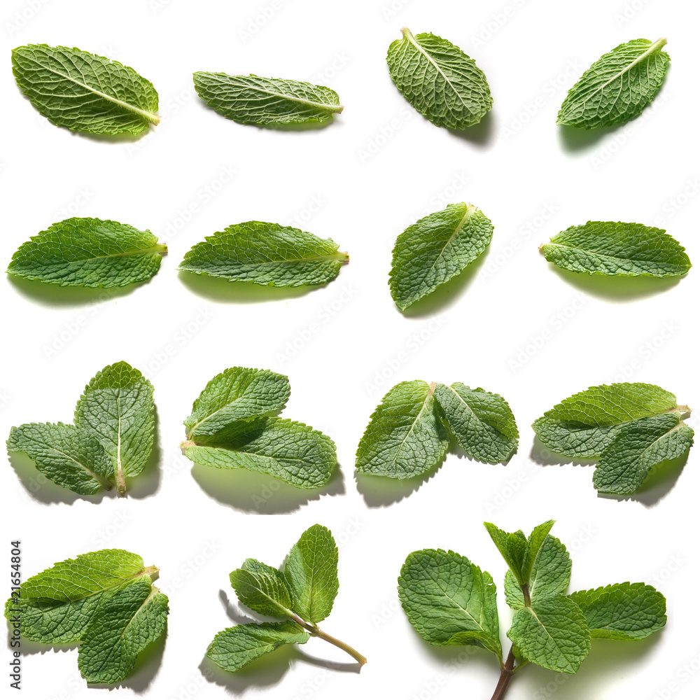 Mint Mint