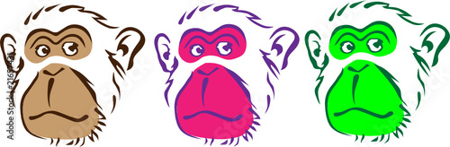three monkeys heads