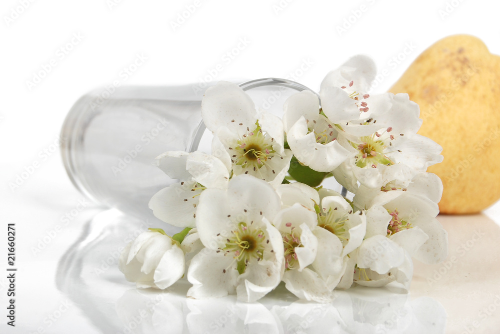 Fototapeta premium pear and flower