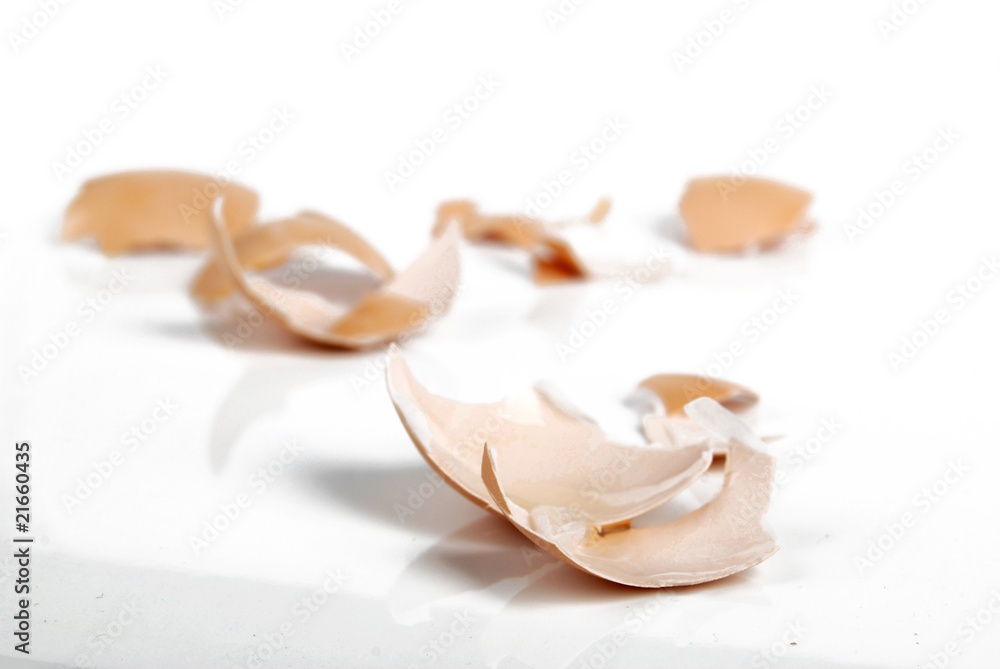 eggshell eggshell