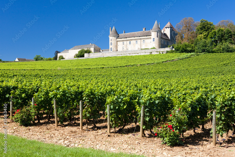 Chateau de Rully with vineyards, Burgundy, France