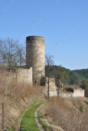 Old ruin in tne South Bohemian. photo