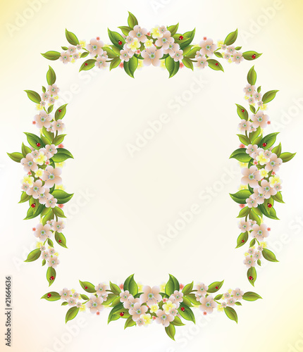 floral frame © sannare