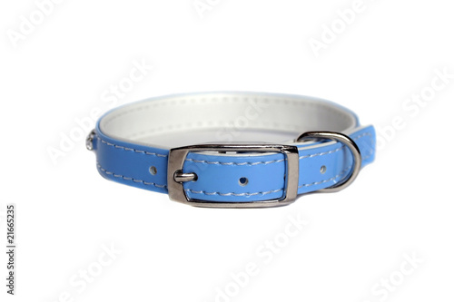 Canvas Print leather animal collar isolated