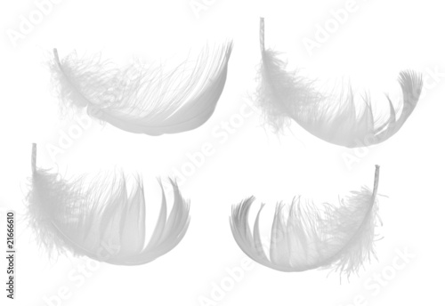 set of four white feathers