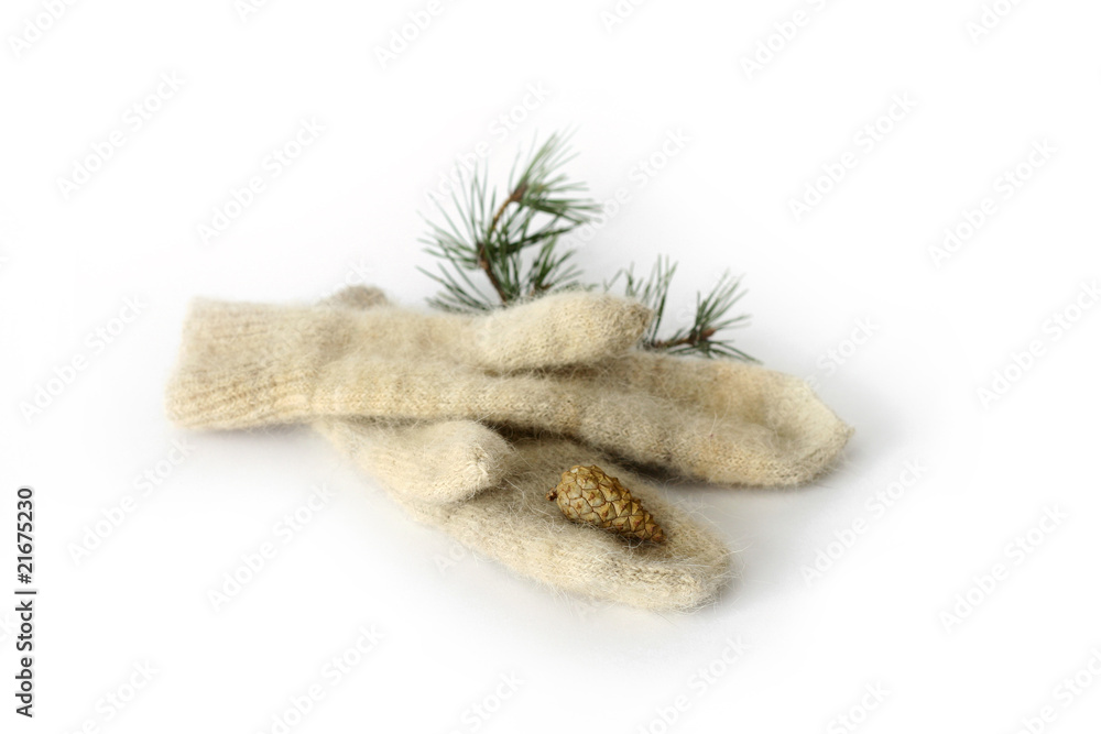 mittens of dog wool with pine branch