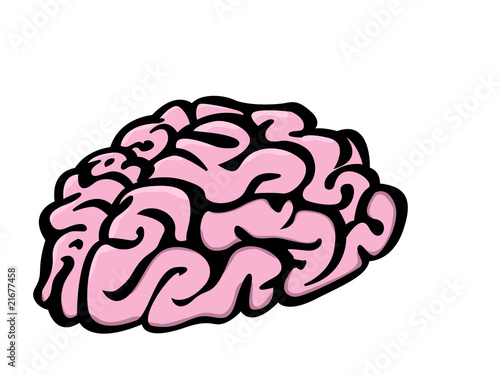 Brain