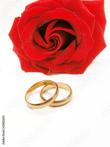 red rose and wedding rings