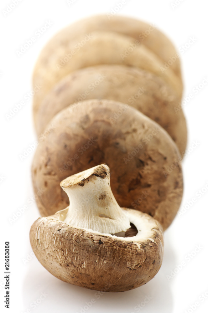 Fototapeta premium Mushrooms in row