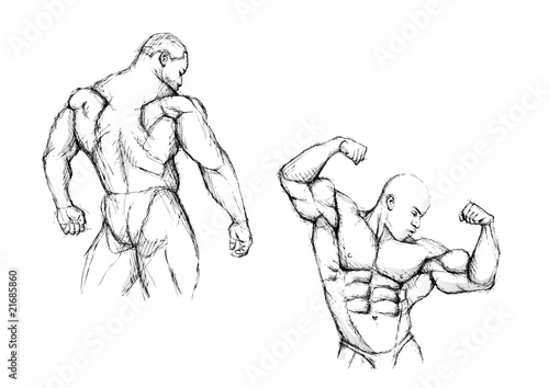 sketching of the bodybuilding