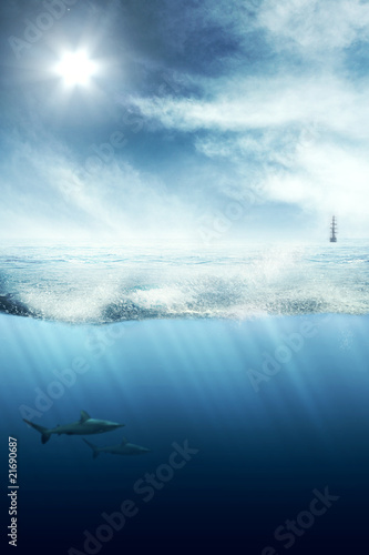 Über und unter Wasser © lassedesignen