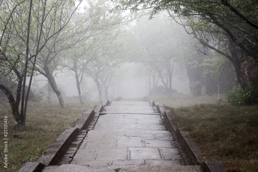 mystische Fußweg im Nebel - Vietnam