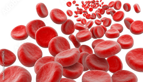 Фотография Blood cells on white background
