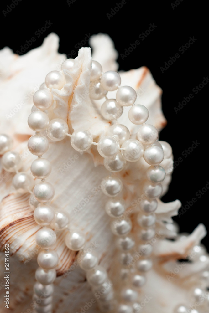 neckchain with seashell neckchain with seashell