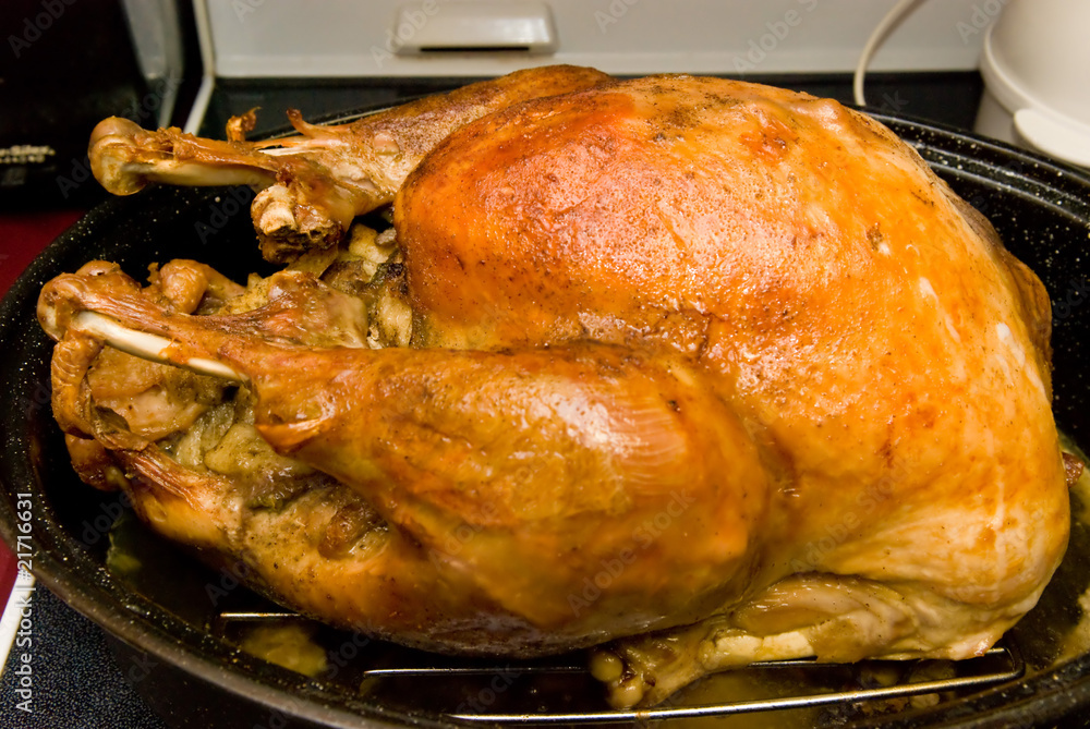 Fototapeta premium Turkey Dinner