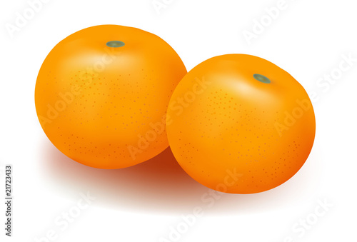 Photo-realistic vector illustration. Two ripe tangerines.