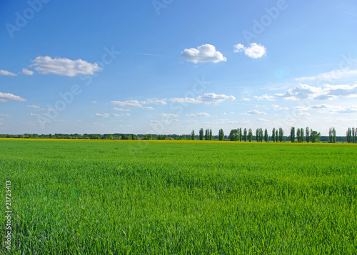 field and clouds