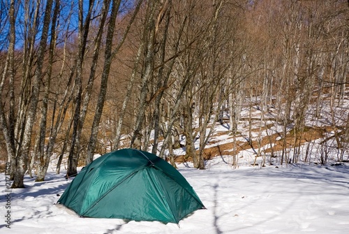 green touristic tent in a spring forest