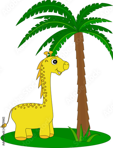 giraffe and the palm