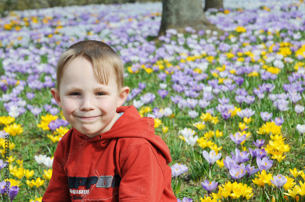 Lachender Junge im Blumenfeld Lachender Junge im Blumenfeld