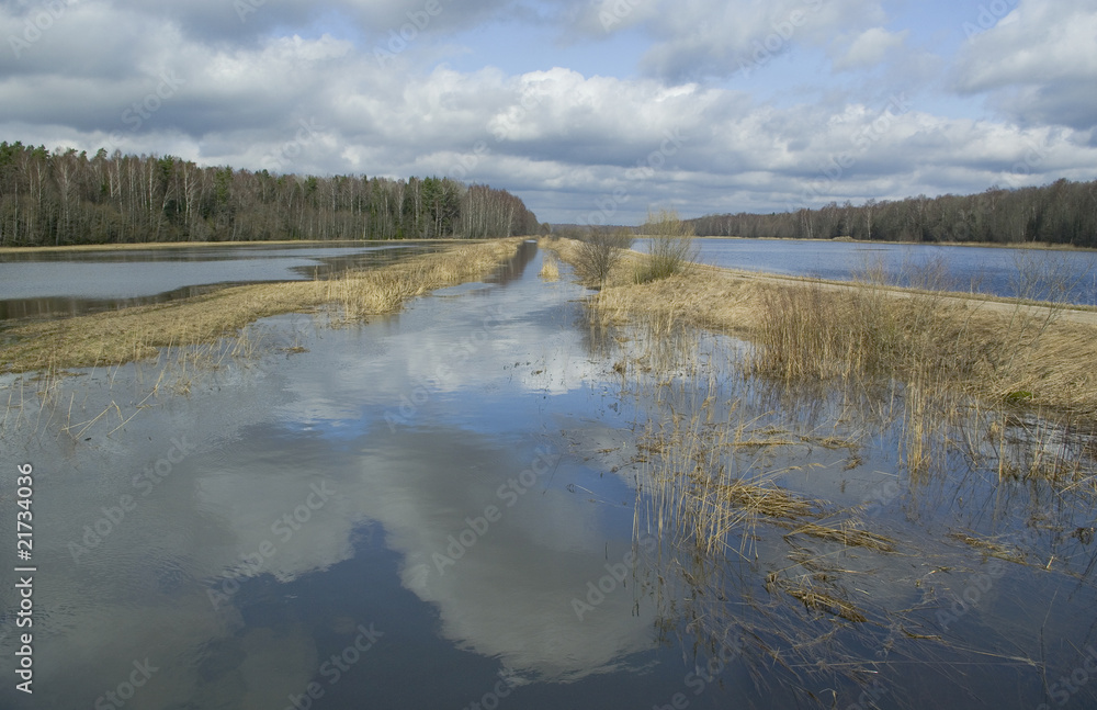 Fototapeta premium Spring on the fields.