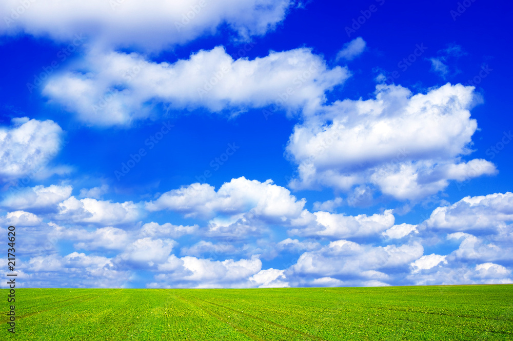 Obraz premium Green field and blue sky conceptual image.