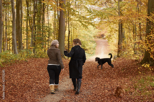 Young female friends walking in autumn park