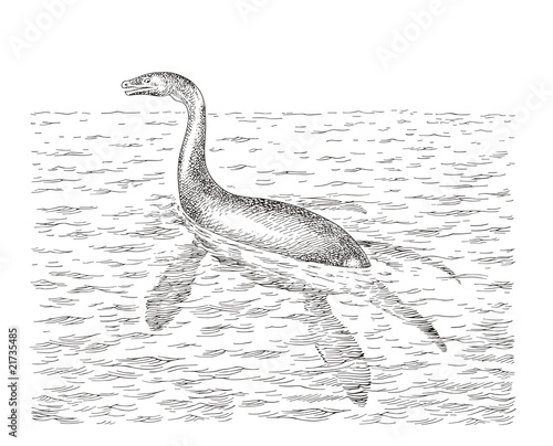 Nessy vector