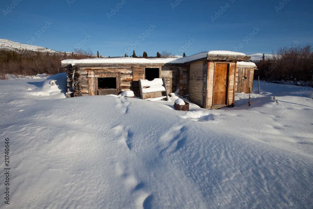 Abandoned log cabin in winter
