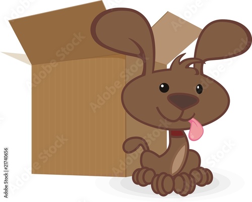 dog in box