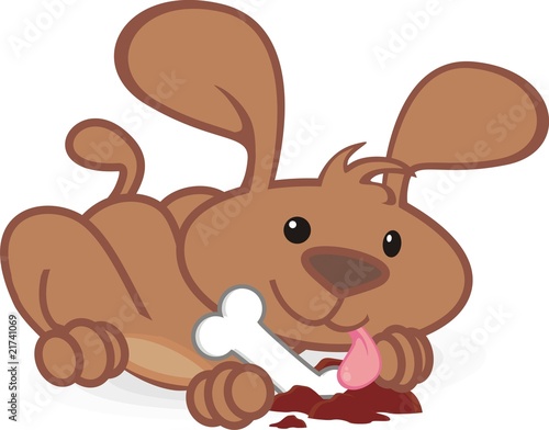 dog and bone